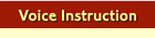 Voice Instruction